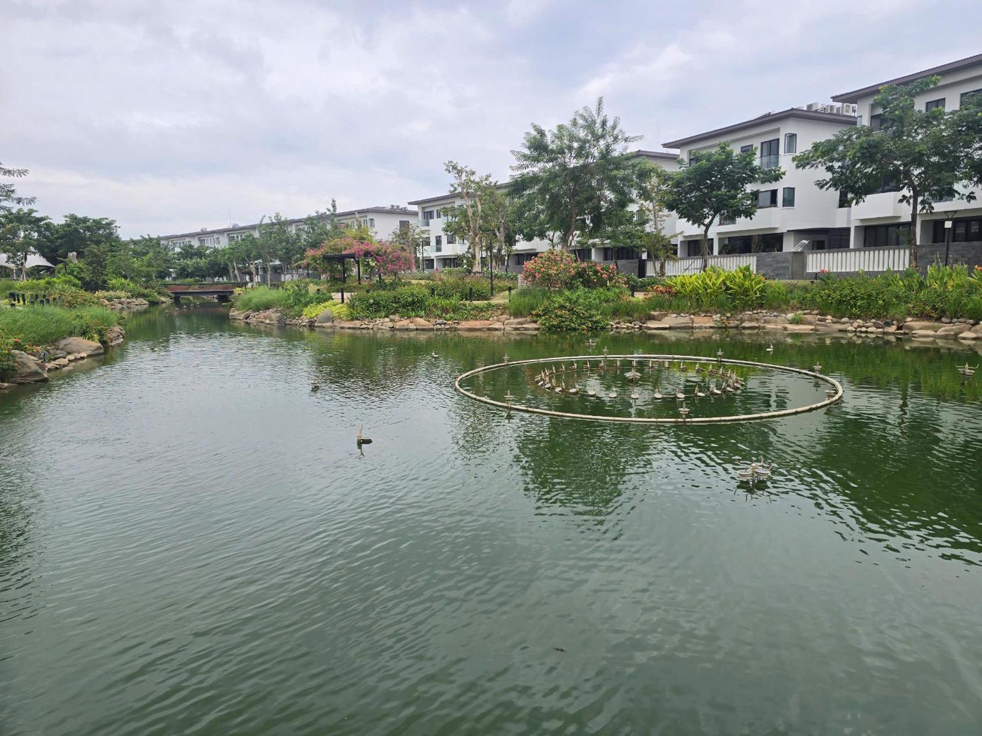 Zozo House - Homestay Bai Sau Vung Tau Extérieur photo